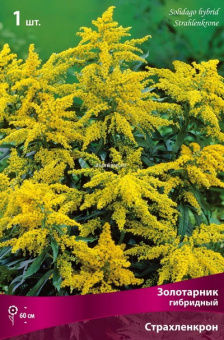 Изображение загружено обработкой по данным файла Excel