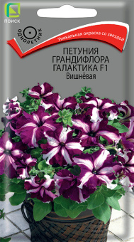 Петуния грандифлора Галактика Вишневая (ЦВ) ("1) 10шт
