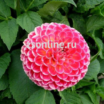 Изображение загружено обработкой по данным файла Excel