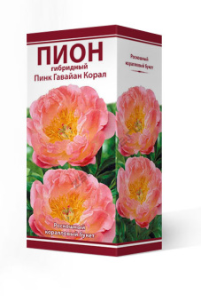 Пион гибридный Пинк Гавайан Корал 2-3/К
