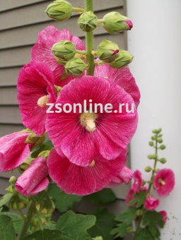 Изображение загружено обработкой по данным файла Excel