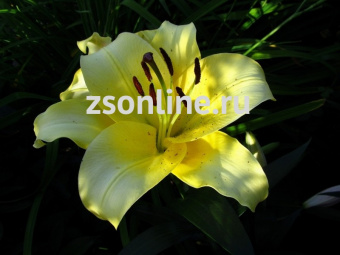 Изображение загружено обработкой по данным файла Excel