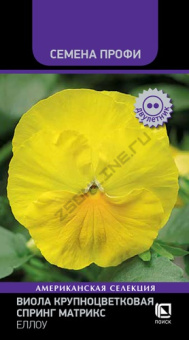 viola_krupnocvet_spring_matrix_yellow