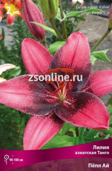 Изображение загружено обработкой по данным файла Excel