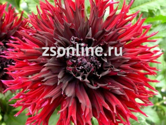 Изображение загружено обработкой по данным файла Excel