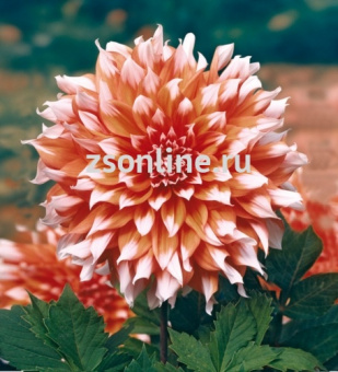 Изображение загружено обработкой по данным файла Excel