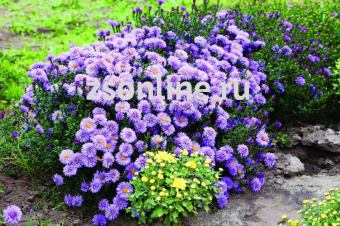 Изображение загружено обработкой по данным файла Excel