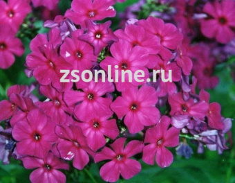 Изображение загружено обработкой по данным файла Excel