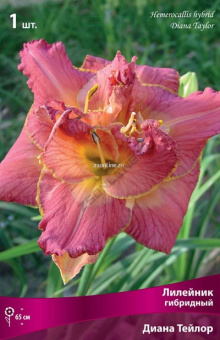 Изображение загружено обработкой по данным файла Excel