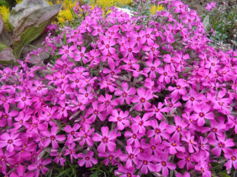 1912202908189cbabf220ccb61101302