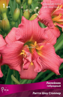 Изображение загружено обработкой по данным файла Excel