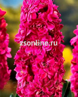 Изображение загружено обработкой по данным файла Excel