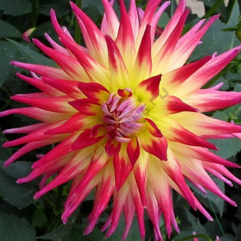 028ee92c007af51c9b5ac6a8fe2ace6f