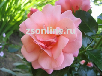 Изображение загружено обработкой по данным файла Excel