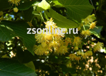 Изображение загружено обработкой по данным файла Excel