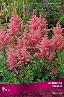 Изображение загружено обработкой по данным файла Excel