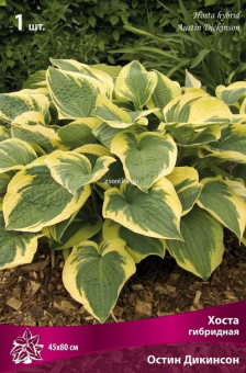 Изображение загружено обработкой по данным файла Excel