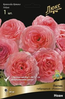 Лютик гибридный Романс Ноан*/К