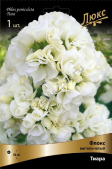 floks_metelch_tiara_kaper