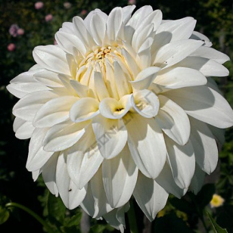 40ed3ea275c224b6dad4d05f6130b656