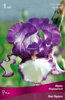 Изображение загружено обработкой по данным файла Excel