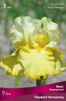 Изображение загружено обработкой по данным файла Excel