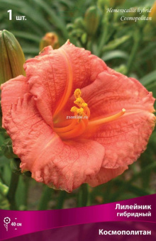 Изображение загружено обработкой по данным файла Excel