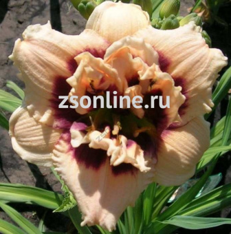 Изображение загружено обработкой по данным файла Excel