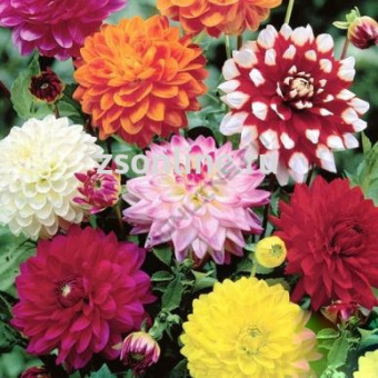 Изображение загружено обработкой по данным файла Excel