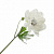 Цветок искусственный Анемон белый, 43 см
