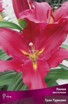 Изображение загружено обработкой по данным файла Excel