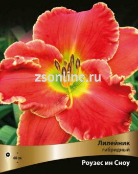 Изображение загружено обработкой по данным файла Excel