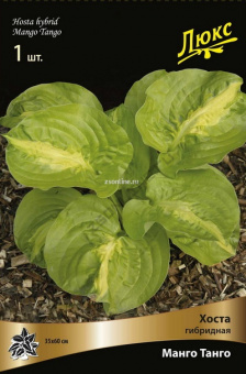 Изображение загружено обработкой по данным файла Excel