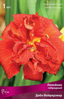 Изображение загружено обработкой по данным файла Excel