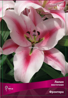 Изображение загружено обработкой по данным файла Excel