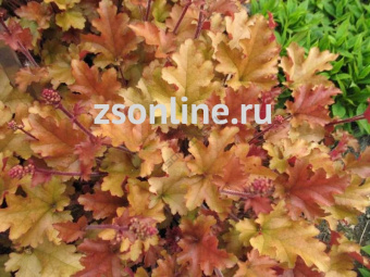 Изображение загружено обработкой по данным файла Excel