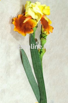 Искусственное растение Ирис коричнево-золотой 70см