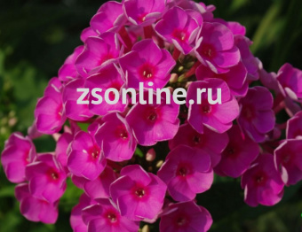 Изображение загружено обработкой по данным файла Excel