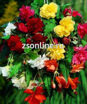 Изображение загружено обработкой по данным файла Excel