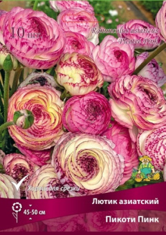 Лютик Пикоти Пинк 7-8/К 10шт