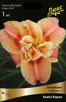 Изображение загружено обработкой по данным файла Excel