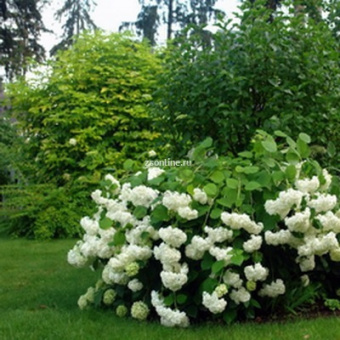 738c1f90df80469b6e6746b6b165e472