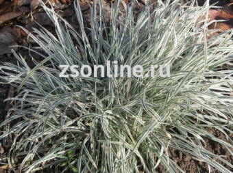 Изображение загружено обработкой по данным файла Excel