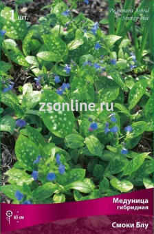 Изображение загружено обработкой по данным файла Excel