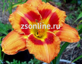 Изображение загружено обработкой по данным файла Excel