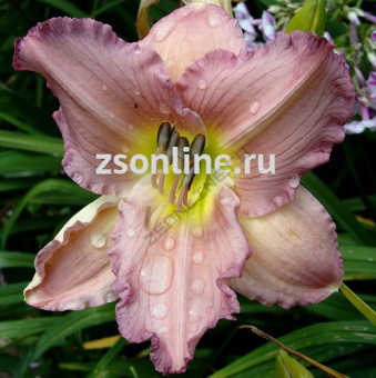 Изображение загружено обработкой по данным файла Excel