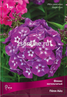 Изображение загружено обработкой по данным файла Excel