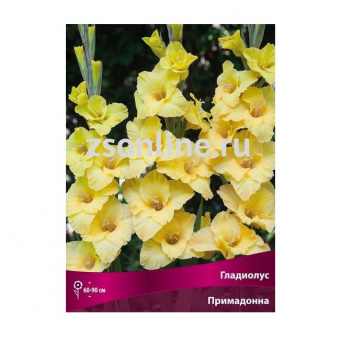 Изображение загружено обработкой по данным файла Excel