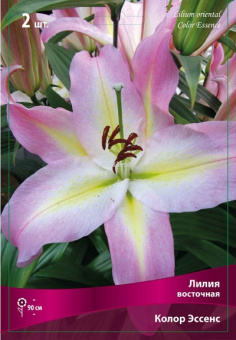 Изображение загружено обработкой по данным файла Excel