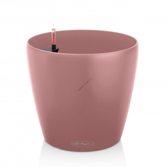 CLASSICO Color 28 pearl rose